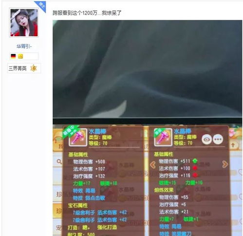 梦幻西游手游 玩家打出价值千万武器，网友一看镶嵌宝石全乐了